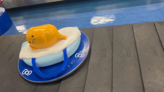 go!go!大分の記事動画