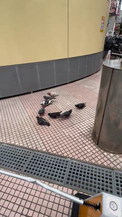 ジムの記事動画