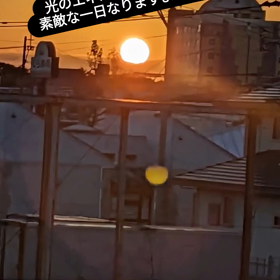2023/11/21の画像