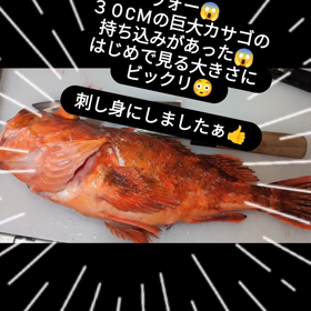 2023/12/10の画像