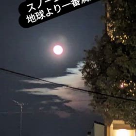 2024/02/25の画像