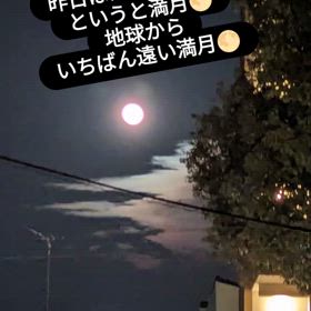 2024/02/25の画像