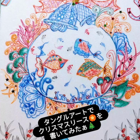 2023/12/07の画像
