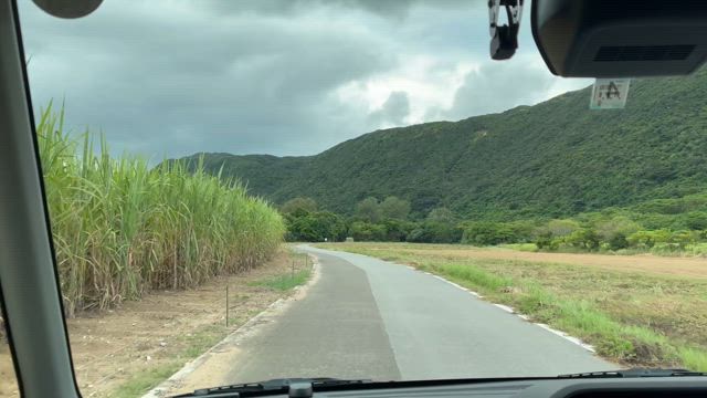 ついに西表島へーーー！！！！の記事動画