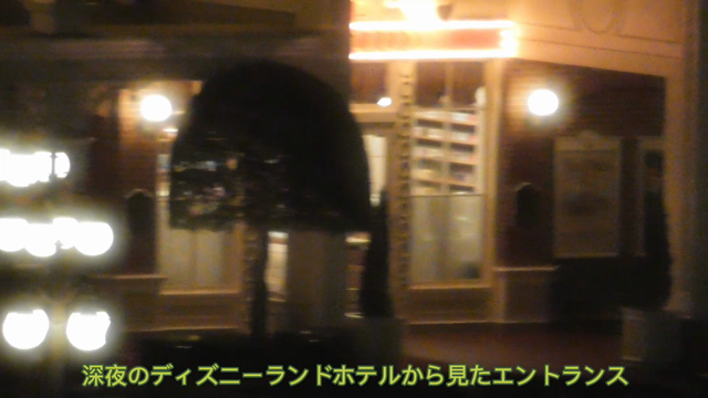 深夜のランドと早朝のランド【TDHレポ④】の記事動画
