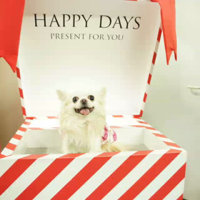 HAPPY birthday Jewelの画像