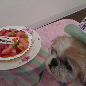 誕生日動画♪の画像