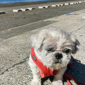 海さんぽの画像