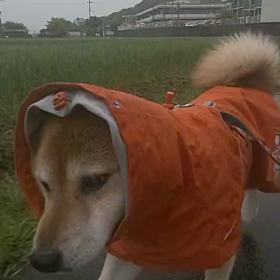 2021/04/29の画像