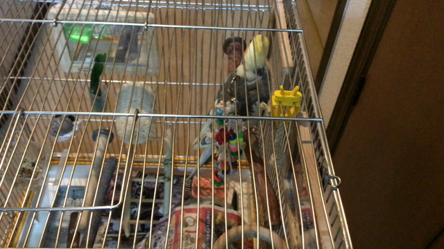 歯磨きセッション！の記事動画