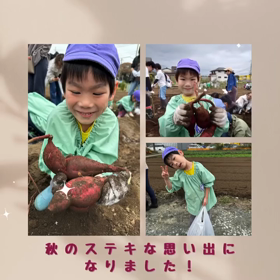 2023/11/06の画像