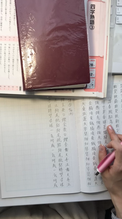 頻出度順　四字熟語③　練習途中の記事動画