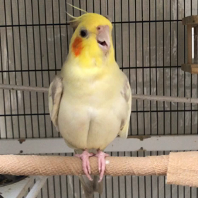 謎のメッセージの画像