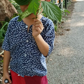 子3の予定に降りまわせれるぅの画像