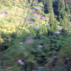 夢の平の帰り道の画像