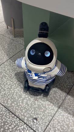 ロボットのペットが欲しくなってきた！の記事動画