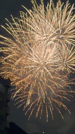 隅田川花火大会、穴場スポットで鑑賞できました♪の記事動画