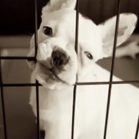 ～“絶対”～の画像