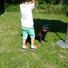 もう夏ですね！の画像