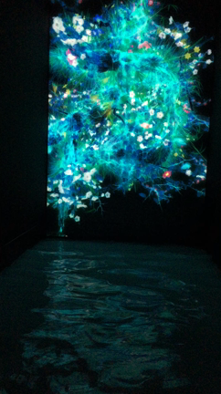 DMM.プラネッツ Art by teamLab ♡の記事動画
