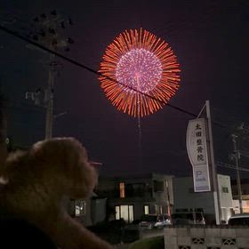 今年最後の花火★の画像
