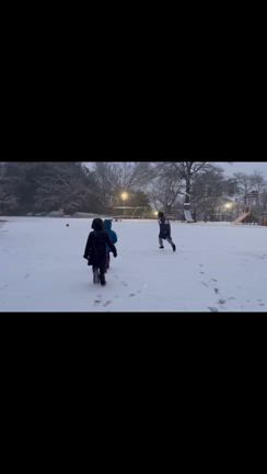 2024/02/05の記事動画