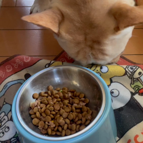 結局は食べんのかい⁉️の画像