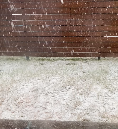 初雪観測と画像と各種プレゼントの記事動画