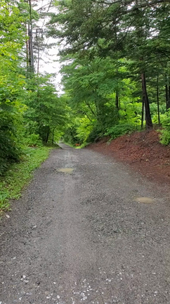 八ヶ岳の鹿も頭を下げますの記事動画