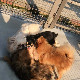 お外遊びの画像