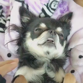 変顔の画像