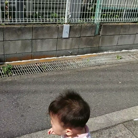 よちよち散歩♪の画像