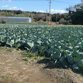 みっつめですの画像