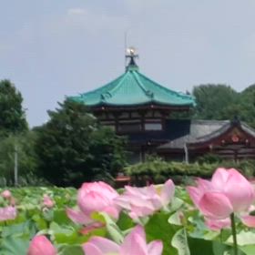 2024/07/18の画像