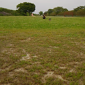 河川敷広場へ(^∇^)の画像