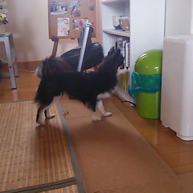 ティット ゴミ箱にドキドキ(゜ロ゜)の画像