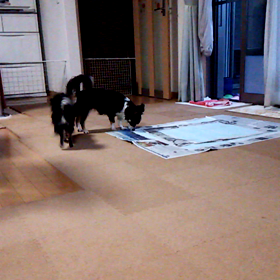 コミュニケーションd(⌒ー⌒)!の画像
