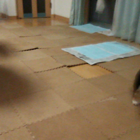 豹変（○_○）！！の画像