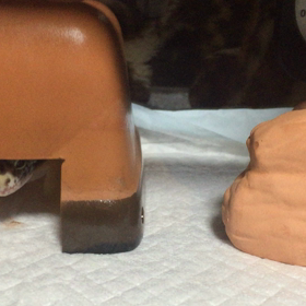 ぱくっの画像