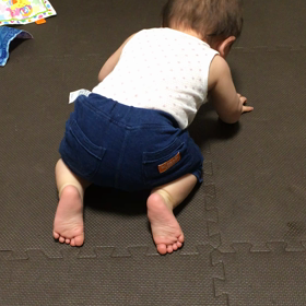 修正10m27d 寝た状態からのお座りとパチパチの画像