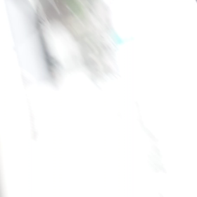 朝は雨の画像