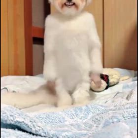 2026/04/20の画像