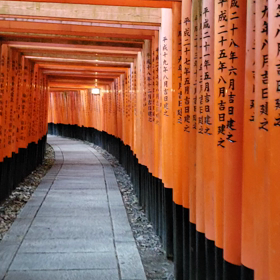 京都　伏見稲荷大社　③の画像