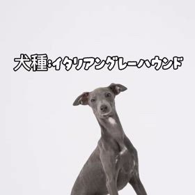 2024/10/03の画像