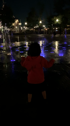 10月 誕生日ディズニー 現地！ 帰ります涙の記事動画
