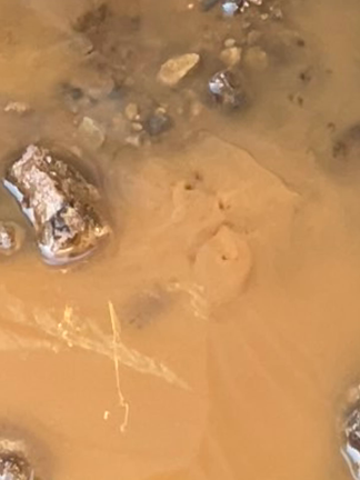 水の力②ハワイ島の水がシャスタへの記事動画