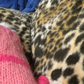 さち？林檎さんとお話ししよかの画像