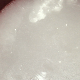 肘湯で、いい〜気持ちの画像