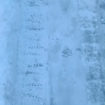 毎回のカウンセリングは”答え合わせ”の時間の記事動画