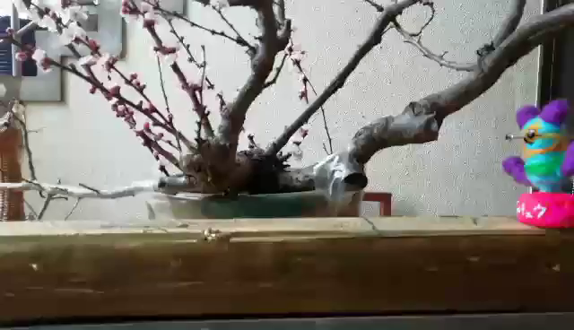 頭を柔らかくして☆目先を変えてみると？の記事動画